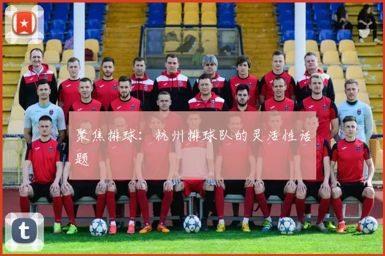 聚焦排球：杭州排球队的灵活性话题