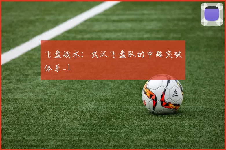 飞盘战术：武汉飞盘队的中路突破体系_1