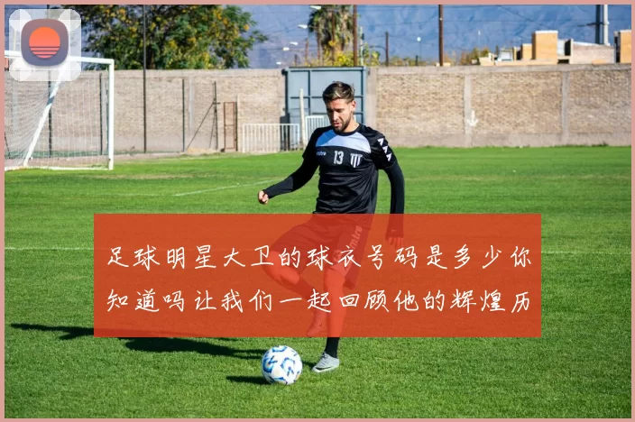 足球明星大卫的球衣号码是多少你知道吗让我们一起回顾他的辉煌历程