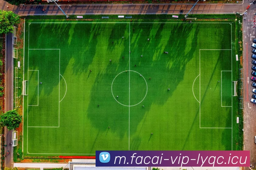 飞盘热点：解读深圳飞盘队的转换